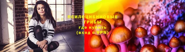метадон Армянск